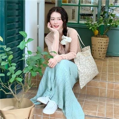 狗的生涯